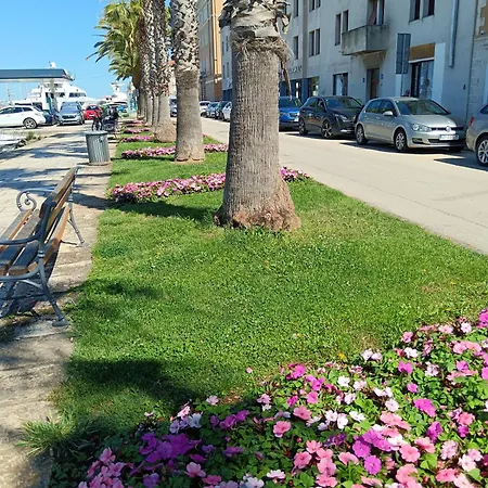 Half Day Trip From To Island Ugljan Botel *